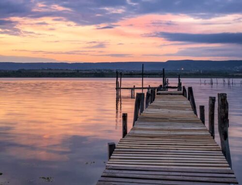 Der Scharmützelsee – Ein Juwel in Brandenburg